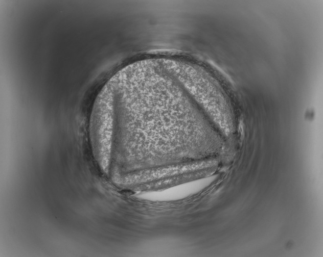 X0000097651351200803211846