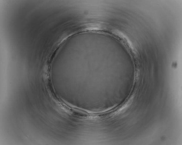 X0000097651353200803211846