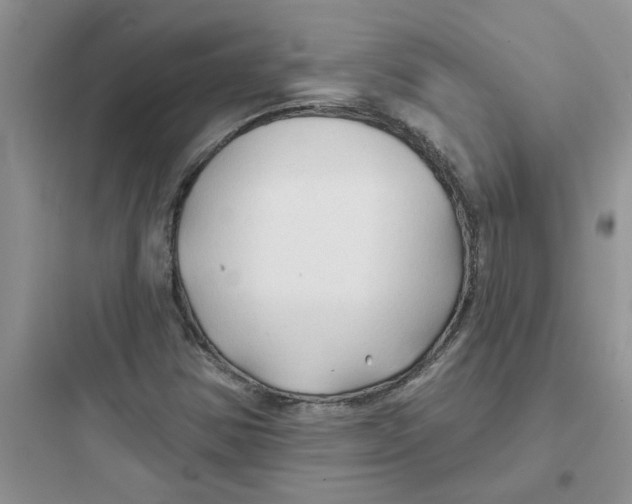 X0000097651354200803211846