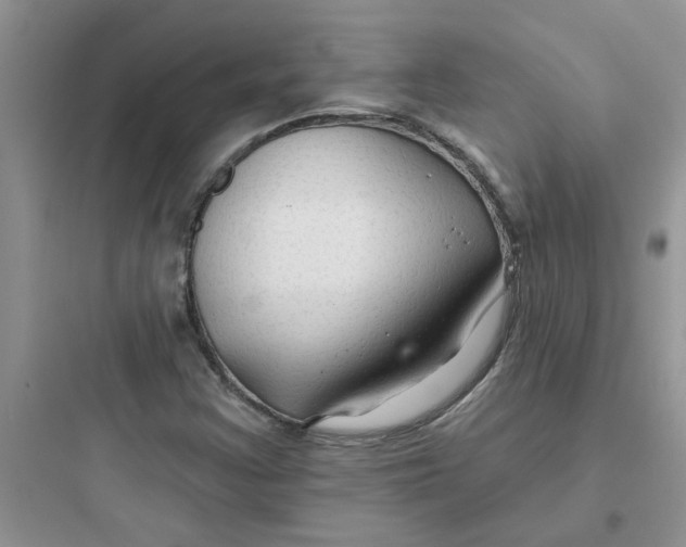 X0000097651355200803211846