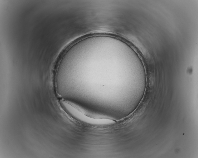 X0000097651356200803211846