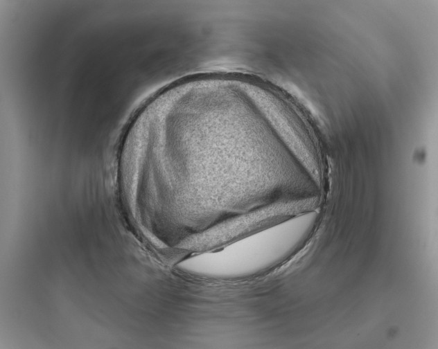 X0000097651358200803211846