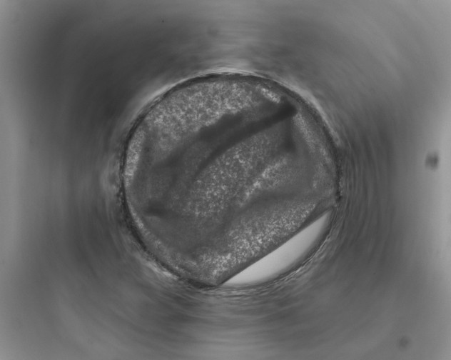 X0000097651359200803211846