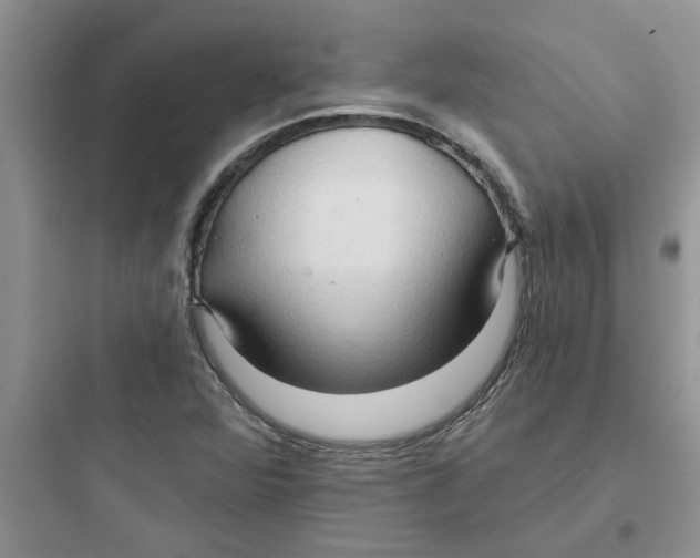 X0000097651360200803211846