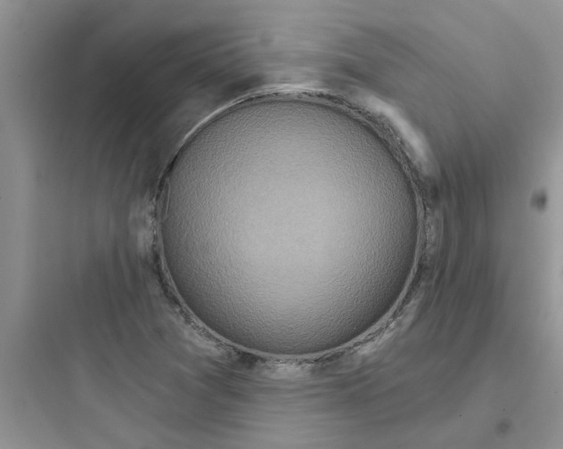 X0000097651361200803211846