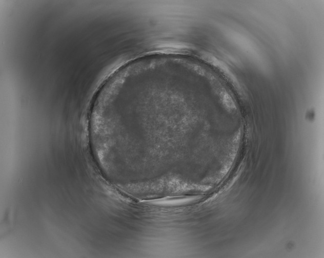 X0000097651362200803211846