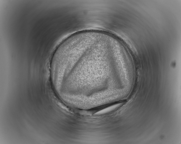 X0000097651363200803211846