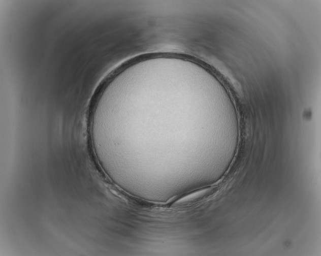 X0000097651364200803211846