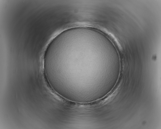 X0000097651365200803211846