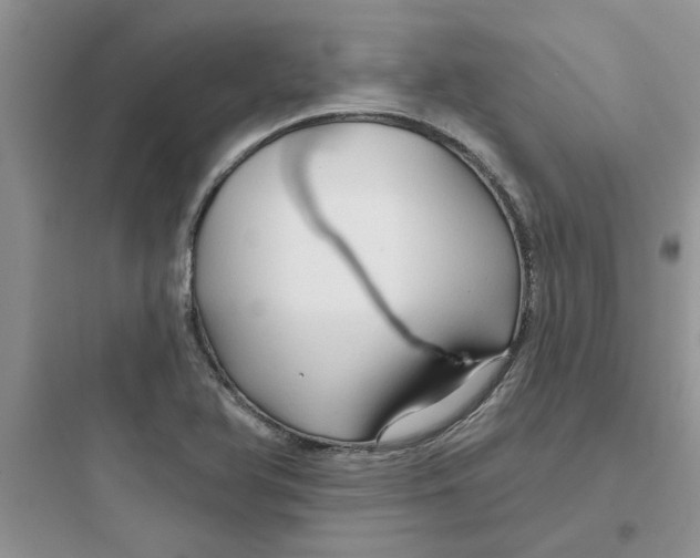 X0000097651366200803211846