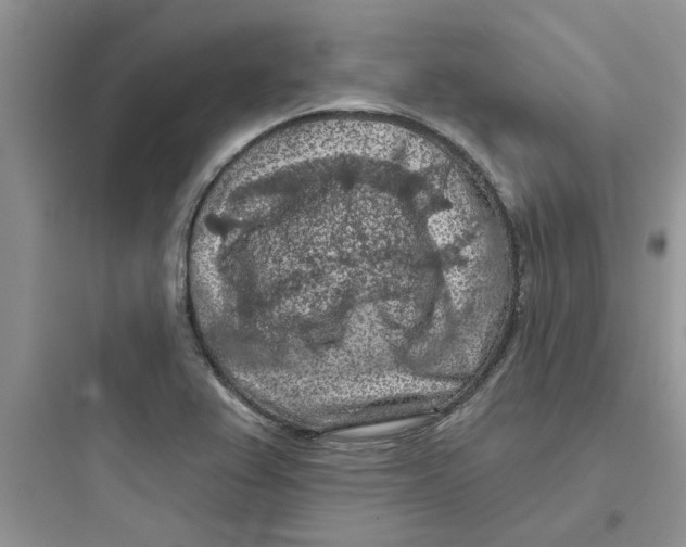 X0000097651367200803211846