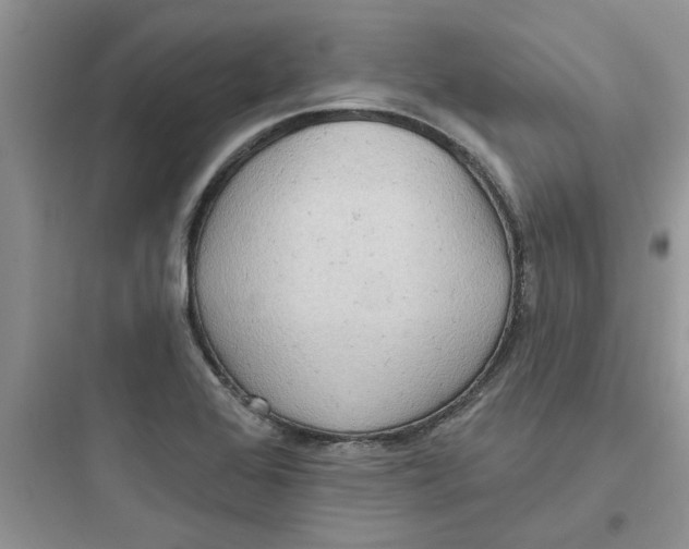 X0000097651368200803211846