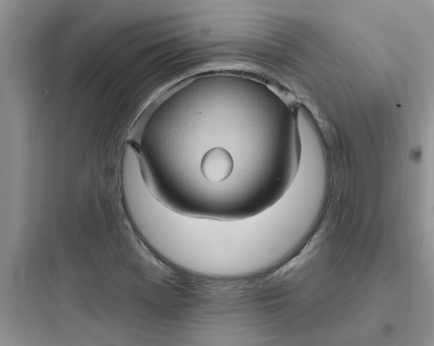 X0000097651369200803211846