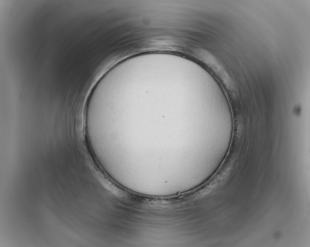 X0000097651370200803211846