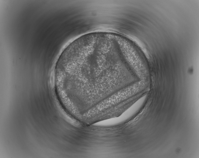 X0000097651371200803211846