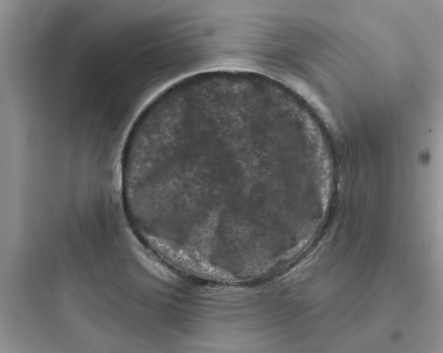 X0000097651372200803211846