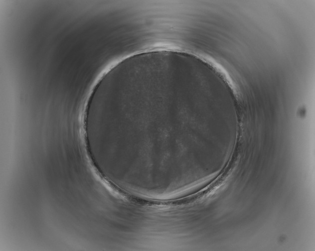 X0000097651373200803211846