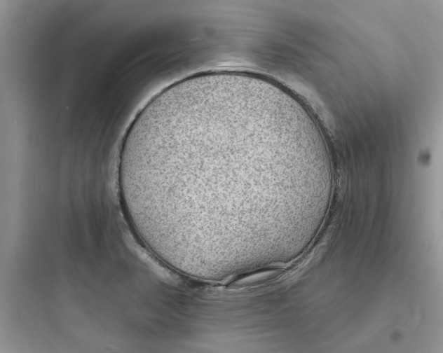 X0000097651374200803211846