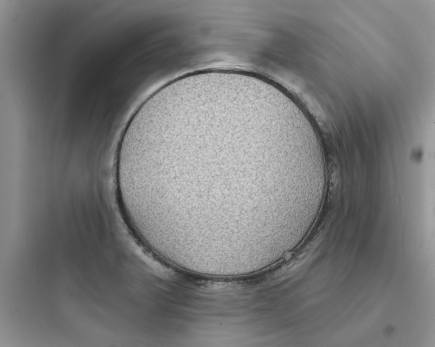 X0000097651375200803211846