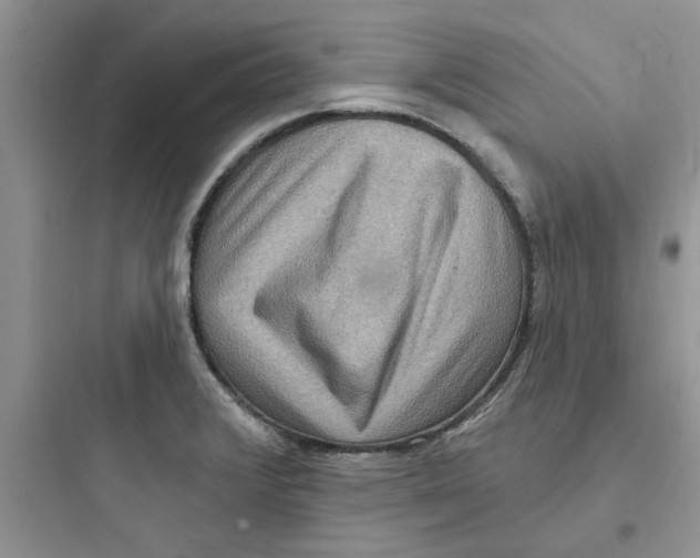 X0000097651376200803211846