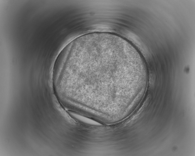 X0000097651378200803211846