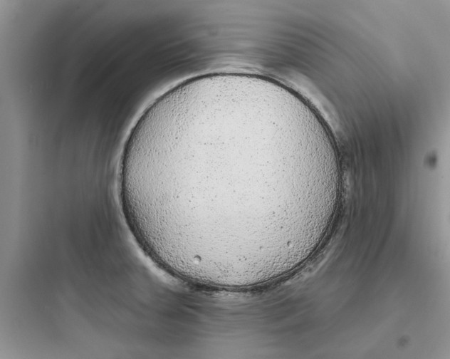 X0000097651379200803211846