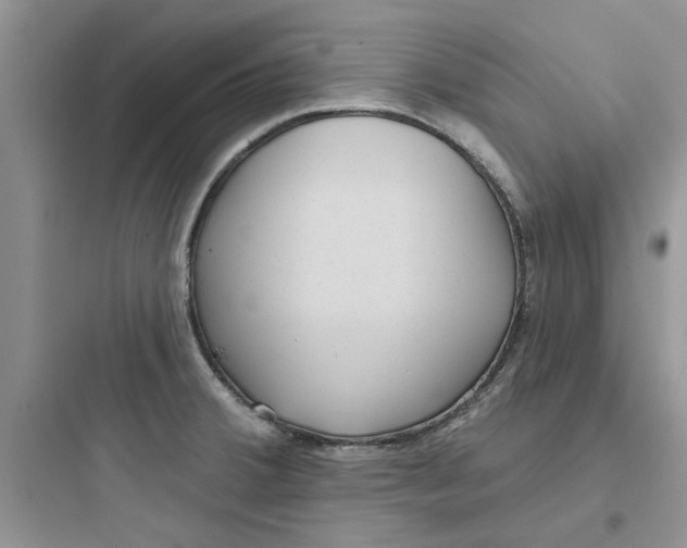 X0000097651380200803211845