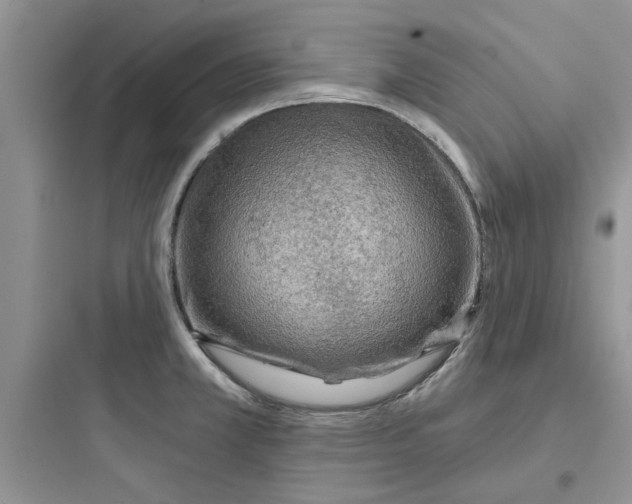 X0000097651381200803211845