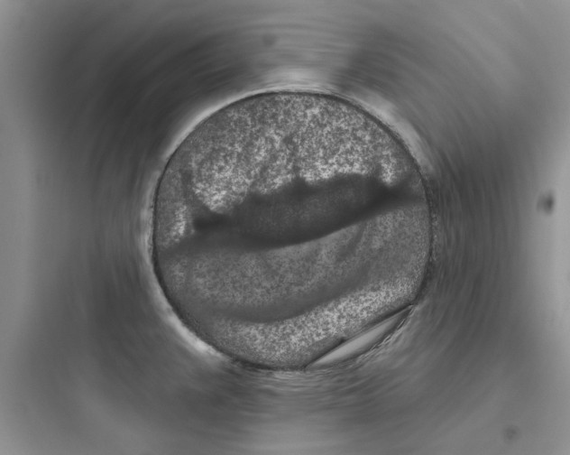 X0000097651383200803211845