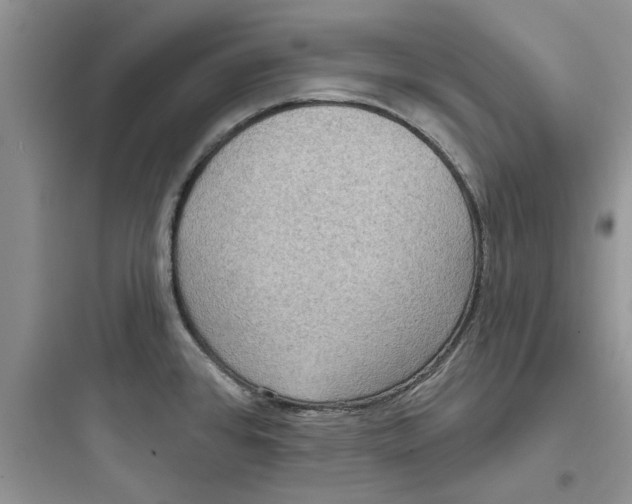 X0000097651384200803211845