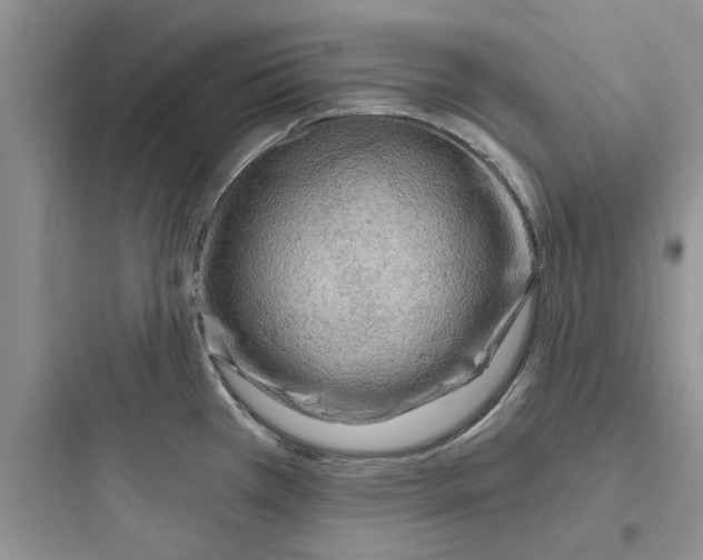 X0000097651385200803211845