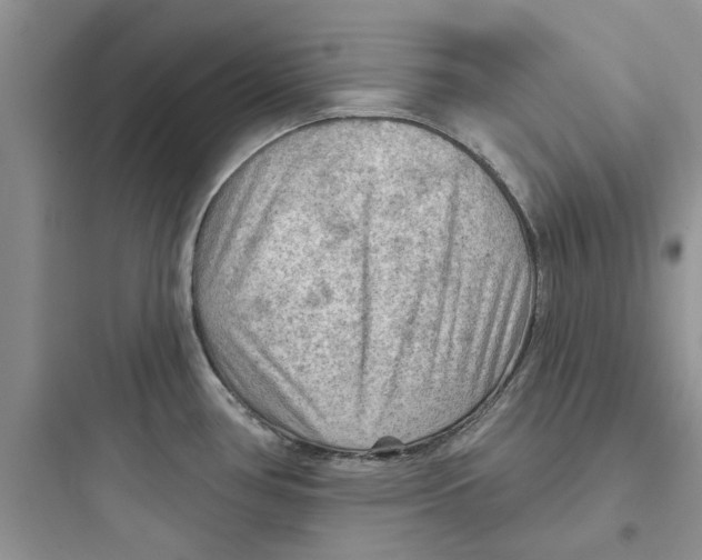 X0000097651386200803211845