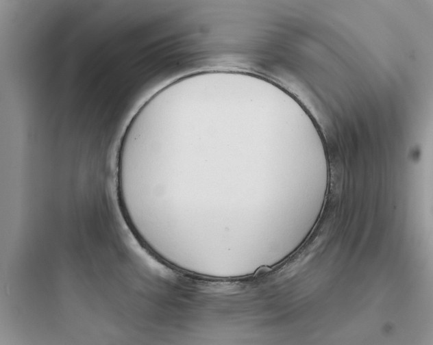 X0000097651387200803211845