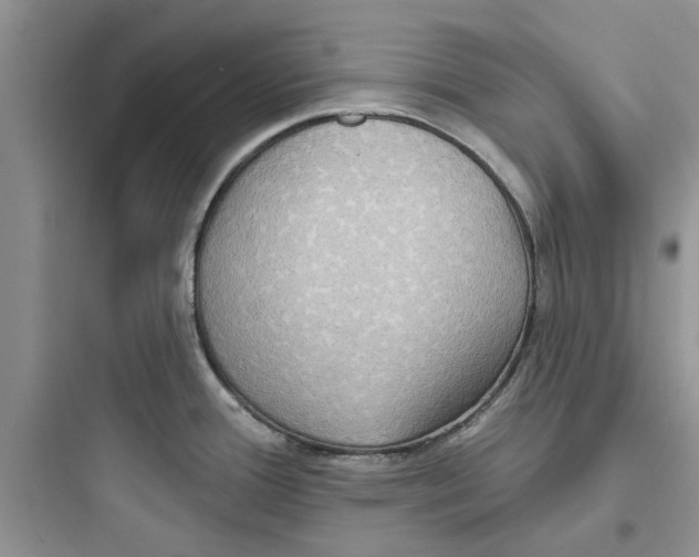 X0000097651388200803211845