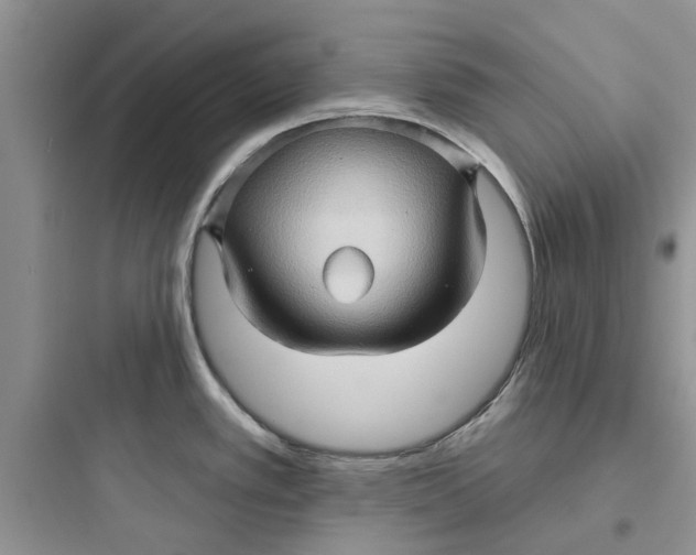 X0000097651389200803211845