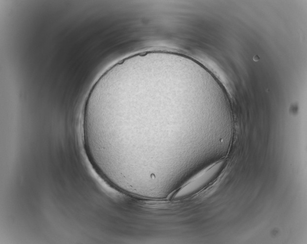 X0000097651391200803211845