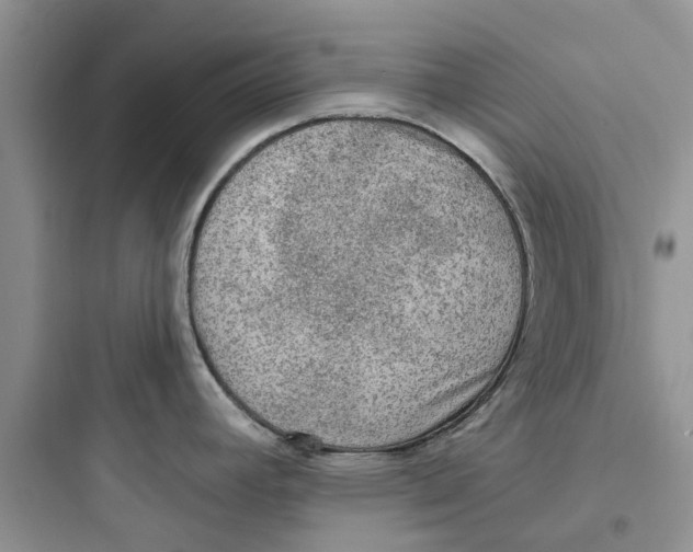 X0000097651392200803211845