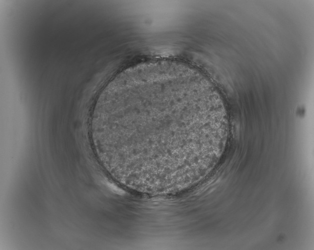 X0000097651393200803211845