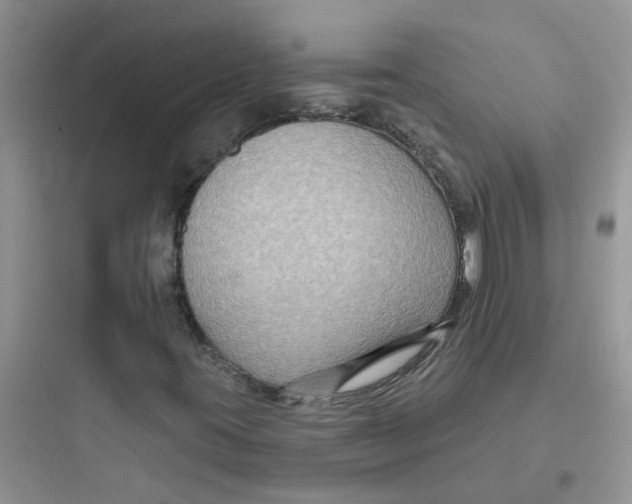 X0000097651395200803211845