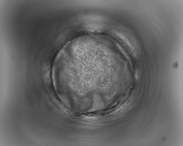 X0000097651396200803211845