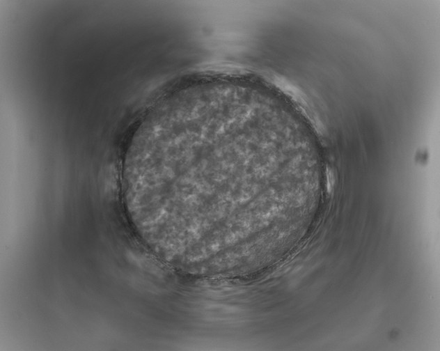 X0000097651397200803211845