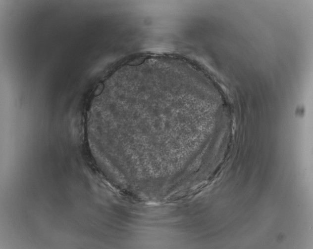 X0000097651398200803211845