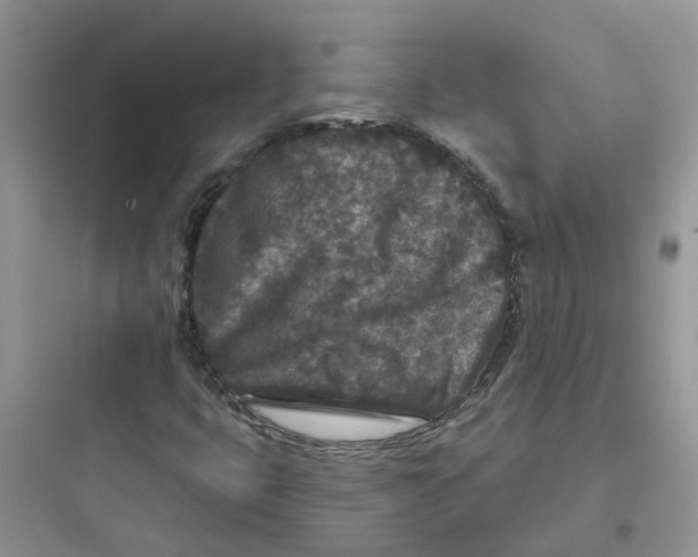 X0000097651399200803211845