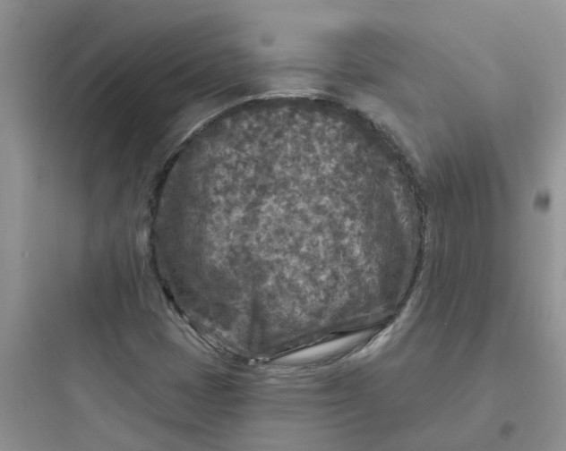 X0000097651401200803211845