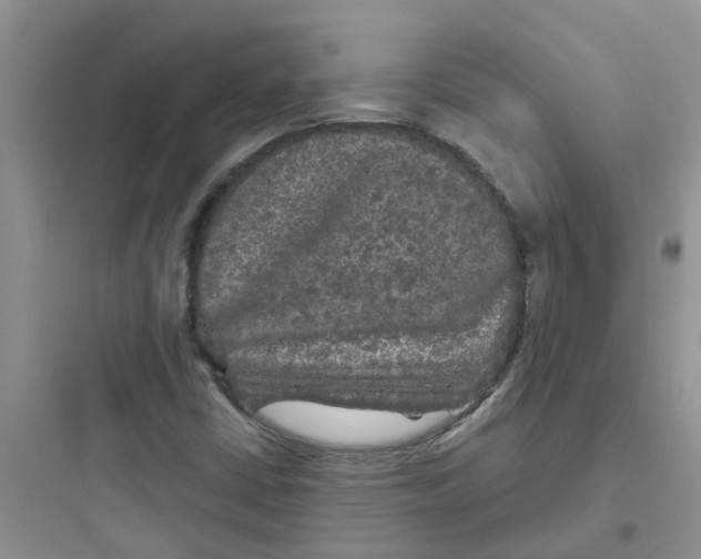 X0000097651402200803211845