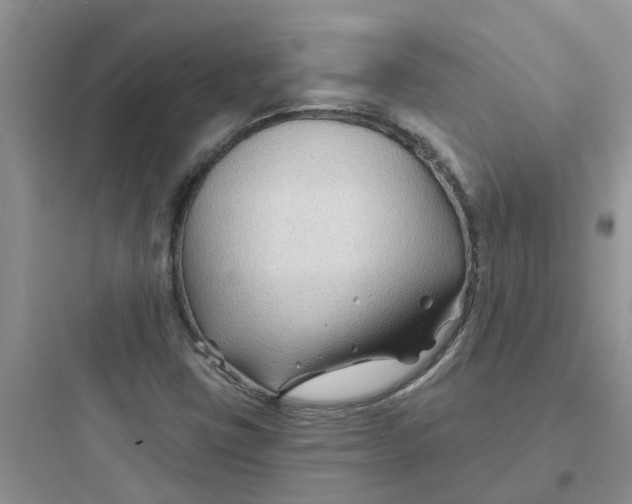 X0000097651403200803211845