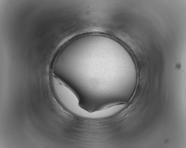 X0000097651404200803211845