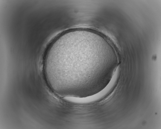 X0000097651406200803211845