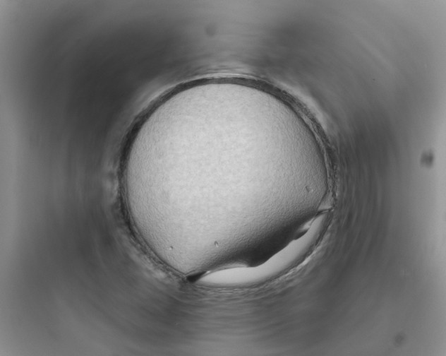 X0000097651407200803211845