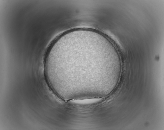 X0000097651408200803211845